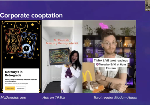 Screen shot of Frances Breden's slides during a presentation: Text reads 